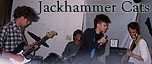 jackhammer cats