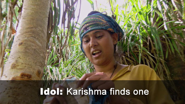Karishma finds idol