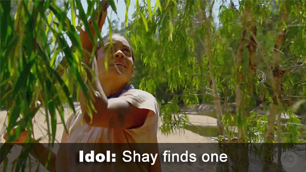 Shay finds idol