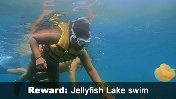 Jellyfish Lake reward