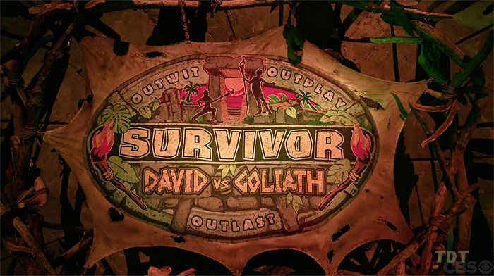 Survivor: David vs. Goliath