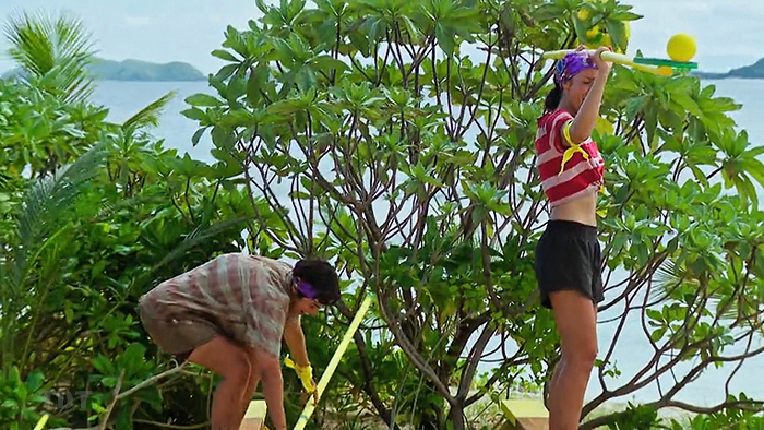 The clunkiness of the reward/immunity challenge