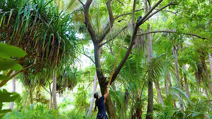 Ep.13 challenge advantage: Sophi