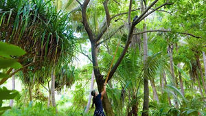 Ep.13 challenge advantage: Sophi