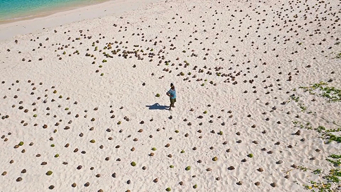 Cirie with 2000 coconuts