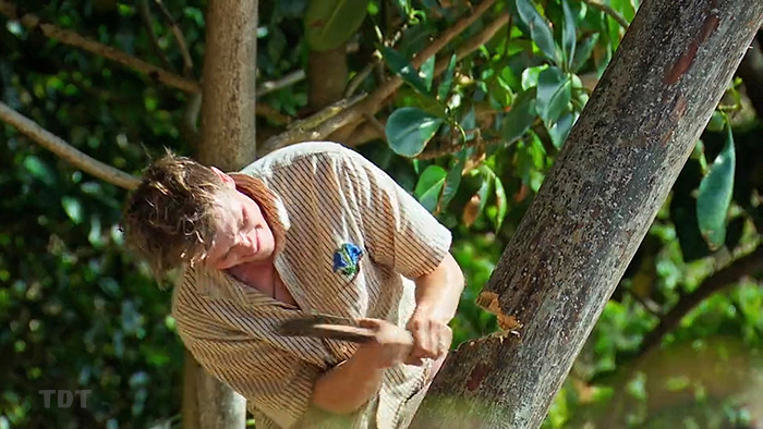 Lewis chopping