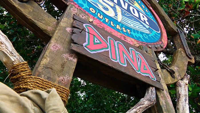 Pink Dina Pink Dina
