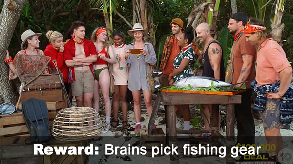 Brains choose fishing gear