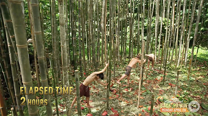 Ep.24 IC: Pegs